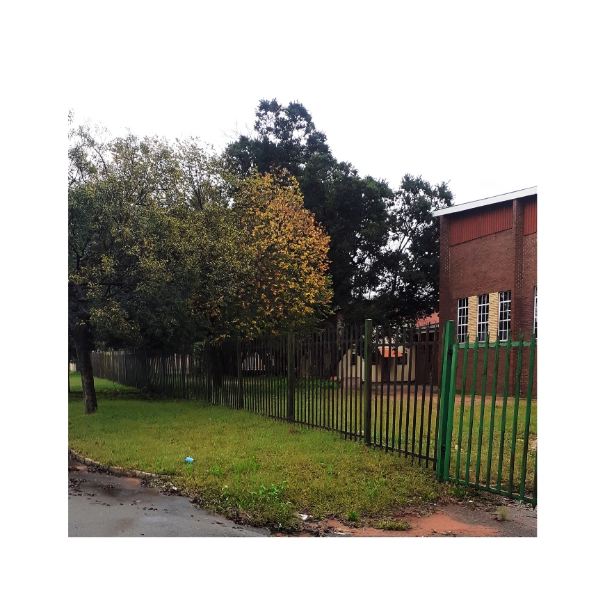 A tree with yellow leaves next to a building. Both are located inside a palisade fence.