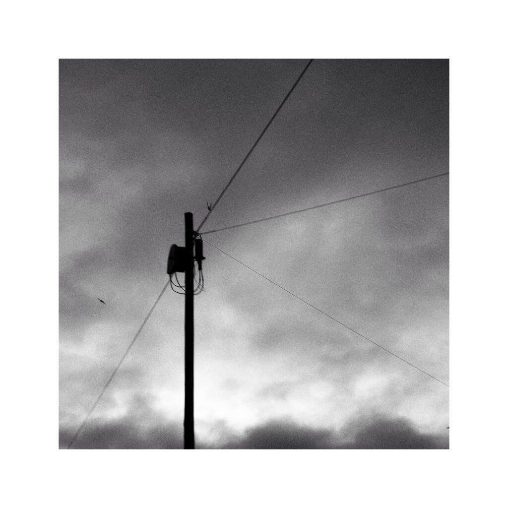 A telephone poles with lines diverging into different directions. A few birds in the background.