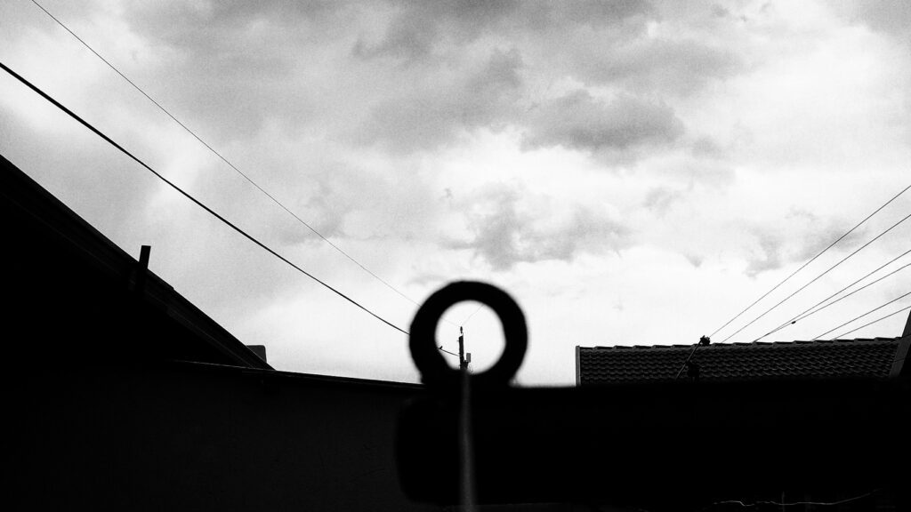 A bird sitting on a telephone wire. Foreground is meta loop which forms a frame around the bird and telephone pole.